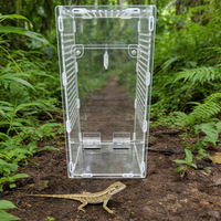 Terrarium en acrylique anti-évasion à haute transparence avec fermeture magnétique pour reptiles, araignées domestiques, araignées sauteuses, mantes religieuses