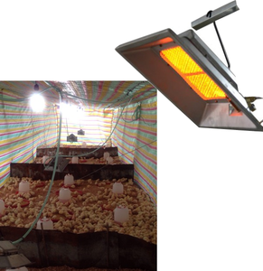 Беспламенный газовый Брудер для индейки THD2606 - Product Image 1