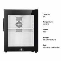 Minibar Termoeléctrico Compacto de 30L con Puerta de Plástico para Hotel, para Suites Ejecutivas