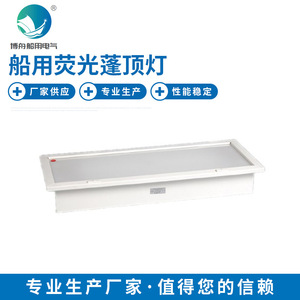 Lámpara de Techo Fluorescente ZYP22-2E para Iluminar Compartimentos Secos de Barcos, Áreas de Descanso, Comedores - Suministros Marinos en Existencia - Product Image 1