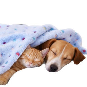 Voor Coral Polka Dot Verdikte Warme Huisdierdeken Fleece Flanel Hond Kat Quilt Hondenbedmat - Product Image 1