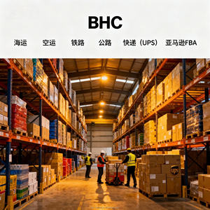 可靠的门到门海运服务，提供德国高效运输解决方案，适合企业和个人 - Product Image 6