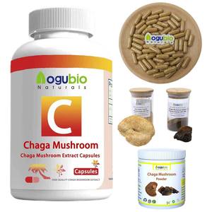 Factory Supply Natürlicher Chaga-Pilzex trakt 30% Polysaccharid pulver Organisches Chaga-Pilz pulver - Product Image 3