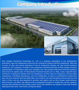 Новый роторный блок (айренд) для винтового компрессора Atlas Copco – компрессорная головка для промышленного использования - Product Image 6