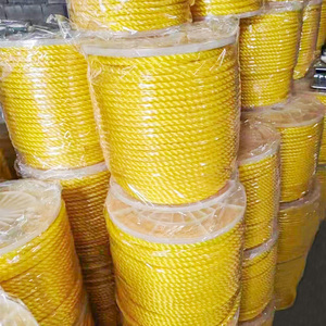 Màu Sắc Khác Nhau Tùy Chỉnh 4Mm 6Mm 8Mm 10Mm 12Mm <span class=keywords><strong>3</strong></span> Sợi Xoắn PP Dây Cuộn Dây Chiều Dài 220M Polypropylene Dây Bao Bì - Product Image 5