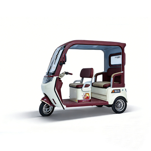 Tricycle électrique 60V à bas prix, 650W, pour adultes d'âge moyen et personnes âgées, design élégant, scooter semi-enclos - Product Image 1