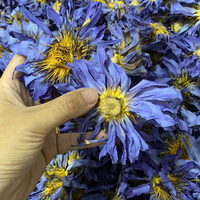 Fleurs de lotus bleues égyptiennes en vrac, conformes aux normes alimentaires européennes, 0,5 kg/sac, herbe relaxante Nymphaea Caerulea, thé sain et naturel
