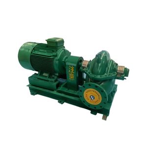 Pompe centrifuge horizontale monophasée à double aspiration à haut débit pour l'irrigation agricole et l'ingénierie de la conservation de l'eau - Product Image 5