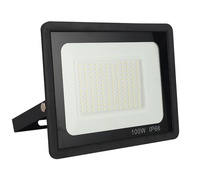 Projecteur led projecteur 100w 50w lampadaire naturel avec capteur 220v retard automatique foco led éclairage extérieur applique murale