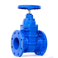 Vanne à opercule à bride DN80 DN100 DN150 PN16 en fonte ductile, manuelle, résistante aux acides et aux hautes températures, pour l'alimentation en eau, du fabricant chinois
