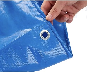 Bâche en PE à prix compétitif de Chine, en rouleau, 45-300 g/m², avec œillets antirouille - Product Image 2