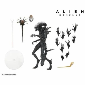 Figura de Acción de PVC de <span class=keywords><strong>Alien</strong></span> Romulus de la Nueva Película de NECA, Modelo Coleccionable de 10 Pulgadas con Accesorios - Product Image 1