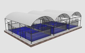 Venta directa <span class=keywords><strong>de</strong></span> fábrica, cubierta <span class=keywords><strong>de</strong></span> campo deportivo <span class=keywords><strong>de</strong></span> <span class=keywords><strong>Pádel</strong></span> <span class=keywords><strong>de</strong></span> vidrio templado <span class=keywords><strong>de</strong></span> 12mm, cancha <span class=keywords><strong>de</strong></span> tenis <span class=keywords><strong>de</strong></span> <span class=keywords><strong>Pádel</strong></span> con techo - Product Image 1