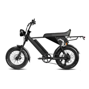 Beste Betaalbare Fat Tire Elektrische Bromfiets Fiets Ebike Elektrische Fiets Met Twee Zetel Klassieke Moderne Look 500W