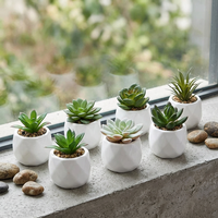 6 Pièces de Petites Plantes Succulentes Artificielles Naturelles avec Pots – Décoration de Bureau et Maison – Ensembles de Plantes en Pot Artificielles