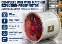 Ventilateur axial antidéflagrant ATEX 400 mm 380 V, ventilateur de conduit électrique pour la ventilation des zones dangereuses DEYUE BT-35