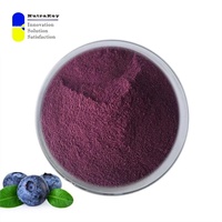 Poudre de myrtille de qualité supérieure 80 mesh | Extrait de myrtille sauvage de haute pureté | Riche en anthocyanes et antioxydants