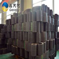 Géocell en HDPE, usine, géocell pas cher, allée, renforcement de la terre, matériau géosynthétique, génie géotechnique