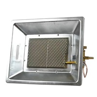 Calentador Infrarrojo de Gas de Acero Inoxidable para Uso Doméstico, Universal para Pollos y Cerdos, con Múltiples Fuentes de Gas, Automático