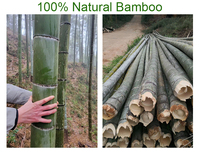 Cesto de Roupa em Bambu de Alta Qualidade SYT, Cesto Resistente para Armazenamento, Saco de Tecido para Banheiro e Quarto, Fácil de Montar
