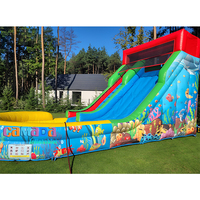 Glissières d'eau gonflables extérieures faites sur commande d'usine pour le château de videur d'arrière-cour de partie de l'enfant avec la piscine pour des occasions à la maison