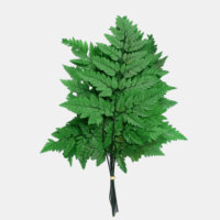 Feuillage séché d'Arachniodes coloré et préservé |   Plantes artificielles vertes pour la décoration d'hôtel et de maison |   Arrangements de table Décoration de mariage 45cm