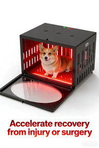 GLPE Terapia de Luz Infravermelha LED para Animais de Estimação, Caixa de Terapia de Luz Vermelha 660nm 850nm para Recuperação de Dor Corporal Total e Artrite, Dispositivo para Uso Doméstico - Product Image 3
