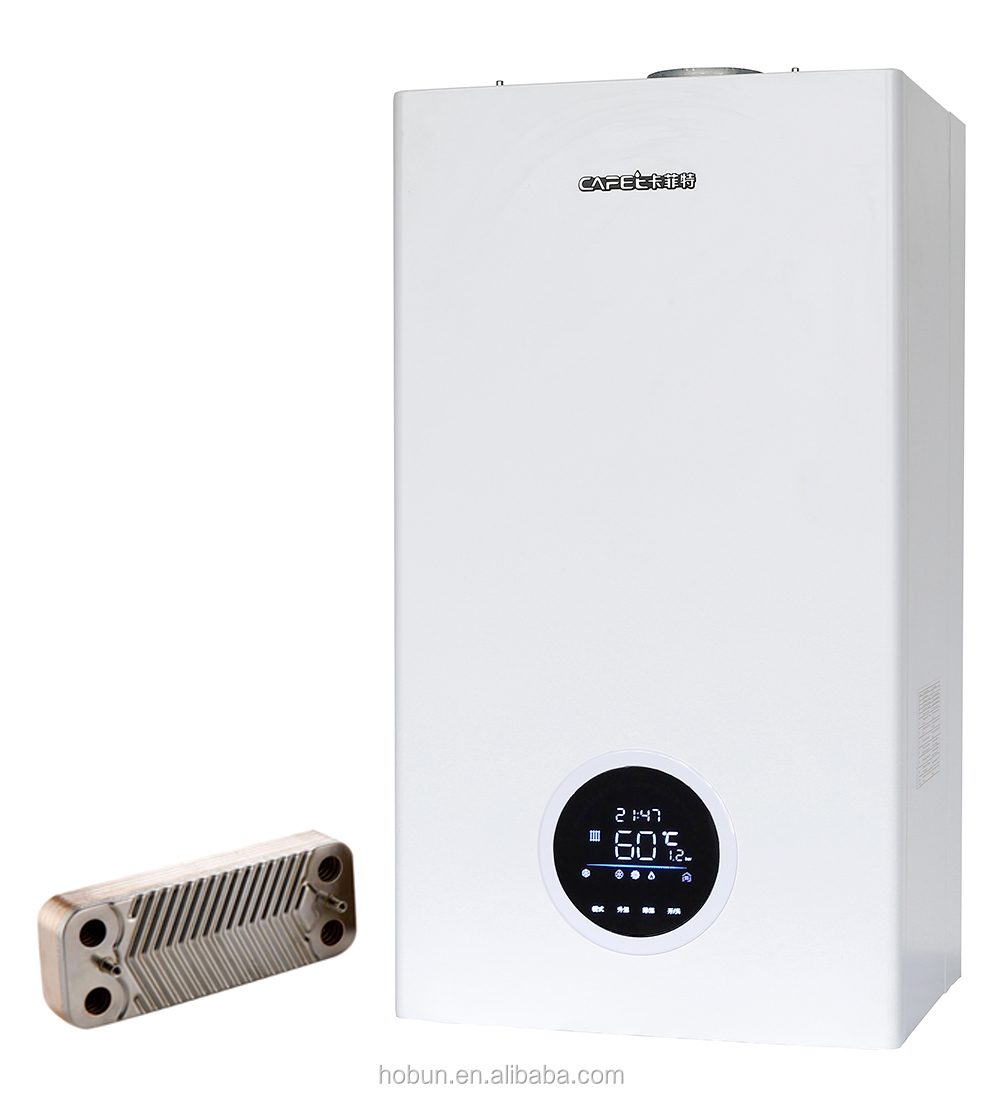 Dubbele Warmtewisselaars Plaat Type Verwarming & Hot Water Gas Boiler