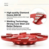 Disque de meulage diamanté à grain 36, à liaison métallique, en forme de coupelle, pour le débavurage et le meulage du béton