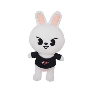 Cross-border New Style Sports Wear Homeless Children Plush Toy <b>Doll</b> Figurine Ornament <b>Doll</b> 20cm - Product Image 2