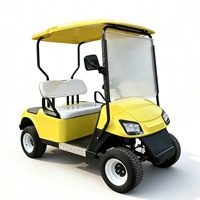 Voiturette de golf électrique 2 places au lithium pour hôtels et zones touristiques, véhicule de navettage, fabrication OEM/ODM, approvisionnement en gros, exportation