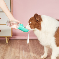 Nouvelle Fontaine à Eau Portable pour Animaux de Compagnie, Distributeur Direct pour Chats et Chiens, Accessoire de Voyage Anti-Fuite, Compatible Eau Bouillante