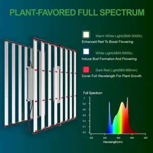 Dimbaar Opvouwbaar Volledig Spectrum Hydrocultuur Binnentuinbouw 600W 800W 1000W Led Kweeklicht Voor Binnenplant