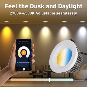 Benory IP65 Downlight 12W 24V DALI PWM 0-10V DMX Rgbw <span class=keywords><strong>Spot</strong></span> de plafond encastré Ra95 Tunable White KNX Loxone Smart LED Downlights - Product Image 2