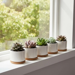 Maceta <span class=keywords><strong>de</strong></span> Cerámica Ecológica, Biodegradable, Ligera, <span class=keywords><strong>de</strong></span> Diseño Moderno y Simple, para Plantas Verdes, <span class=keywords><strong>Suculentas</strong></span> y Flores, para Uso en Escritorio - Product Image 1