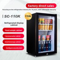Mini-réfrigérateur de comptoir compact pour boissons, meuble de rangement domestique pour bureau et maison