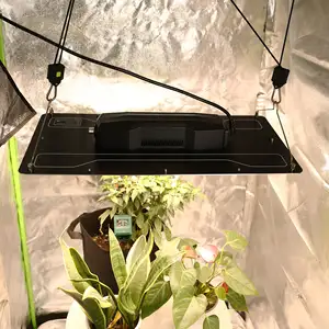 LED商用防水温室植物生长灯全光谱650瓦全光谱园艺用LED生长灯