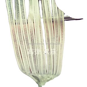 बुफ्फेंट कैप मॉब कैप जूते कवर के लिए डबल इलास्टिक - Product Image 2