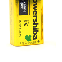 Pilas alcalinas secas sin mercurio, pila alcalina de 9V, 6LR61