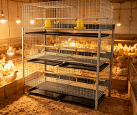 Cage à poulets à 4 niveaux et 2 portes, capacité 80 oiseaux, avec ligne d'abreuvement par pipettes