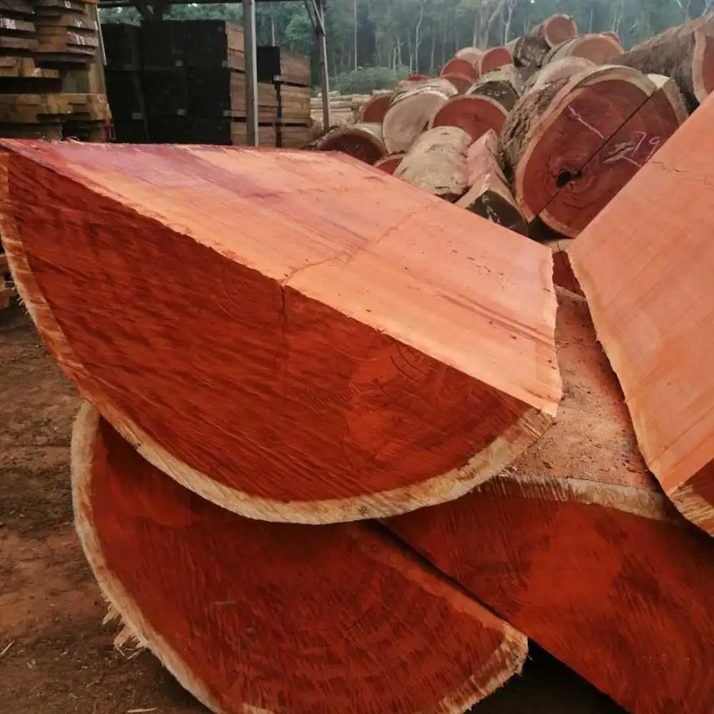 Paddle, bois dur et en séquoia africain, panneau de planche complet pour paddle, prix à la main