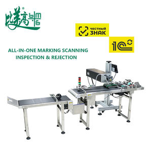 Machine de marquage laser avec pagination automatique, collecte et tri automatiques des données d'inspection, rejet des défauts, conforme à la norme Chestny Znak pour la traçabilité - Product Image 6
