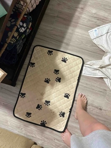 Luxury Waterproof Dog Blanket with Anti-Slip Design New Durable Removable Pet Bed Cover for Bed Furniture Couch <b>Sofa</b> - Product Image 3