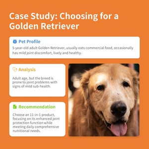 วิตามินรวมแบบเคี้ยว 8-in-1 ดูดซึมเร็ว ปลอดภัยสำหรับแมวและสุนัข เม็ดนุ่ม ช่วย<span class=keywords><strong>บำรุง</strong></span>ข้อต่อ คอนดรอยติน ปราศจากธัญพืช เสริมสร้างภูมิคุ้มกัน - Product Image 6