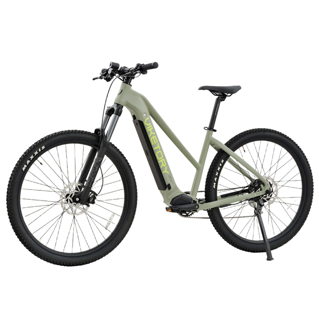 New EN 15194 48V350w Electric city Bike MTB with Battery EN50604