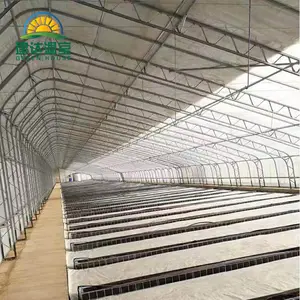 Serres pour la plantation de tomates en hiver Serre chaude spéciale pour les zones froides avec couette