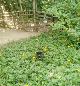 Nhà Máy Giá Động Vật Hoang Dã Bẫy Hồng Ngoại Tầm Nhìn Ban Đêm Săn Bắn Đường Mòn 1080P Máy Ảnh Ngoài Trời Không Thấm Nước Động Vật Hoang Dã Săn Bắn Đường Mòn Máy Ảnh - Product Image 5