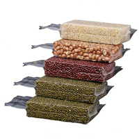 Sac sous vide personnalisé en nylon transparent de qualité alimentaire pour le stockage de riz, de farine et de céréales, 250g, 500g, 1kg