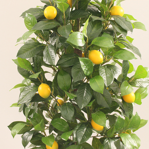 Plantes artificielles : <span class=keywords><strong>Citronnier</strong></span> en vente directe d'usine avec fruits de citron et feuillage vert <span class=keywords><strong>pour</strong></span> la décoration paysagère - Product Image 4