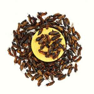 Proteine di Insetti Essiccati 100% Naturali, Cibo per Polli, Uccelli e Rettili, Grilli Essiccati - Product Image 6